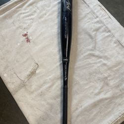 Easton Bat