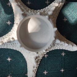 Starfish Candle Holder, Heavy