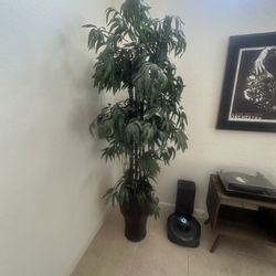 Fake Plant 6ft Tall
