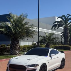 2019 FORD MUSTANG GT 5.0