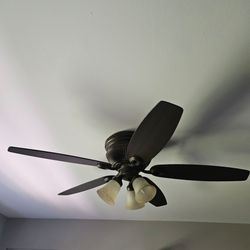 Hunter 5 blade 52 inch dark wood ceiling fan with lights