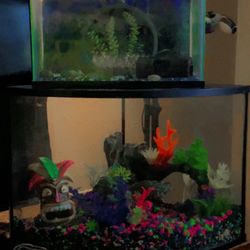 Fish Tanks 