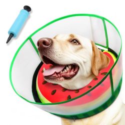 Dog Cone Collar Medium 