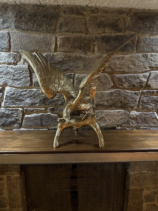 27-in Wide Brass Eagle