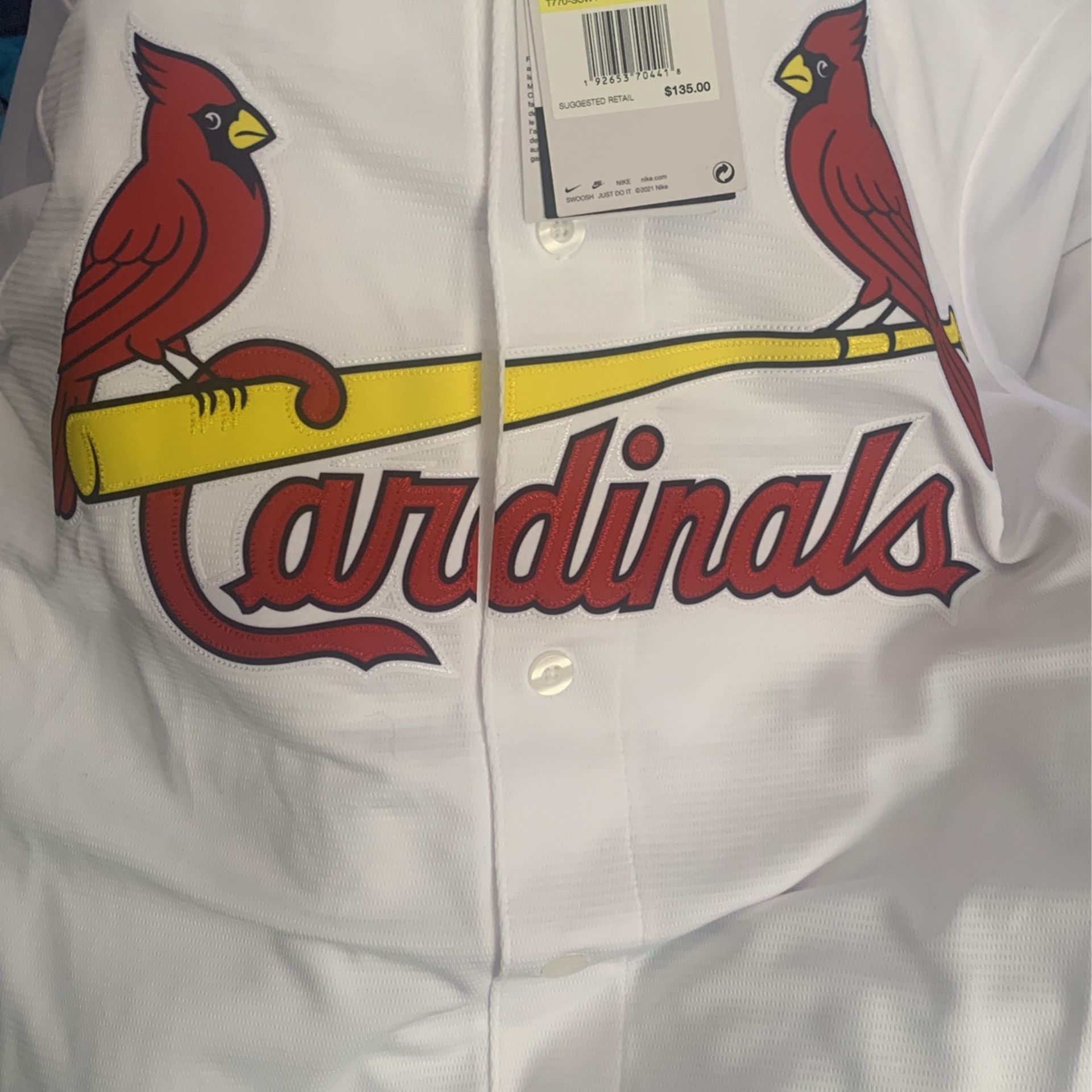 Arenado baseball jersey