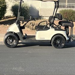 Custom 2010 Ezgo  Rxv Golf Cart carts
