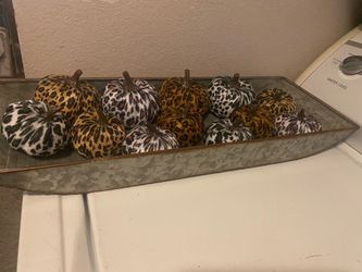 Galvanized Tray with Animal Print Pumkins