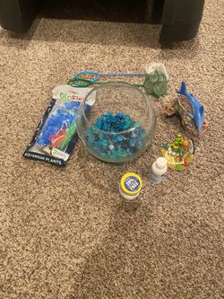 Fish Bowl lot