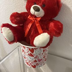 Valentine's Day bear Size 10 Inch $8 New 