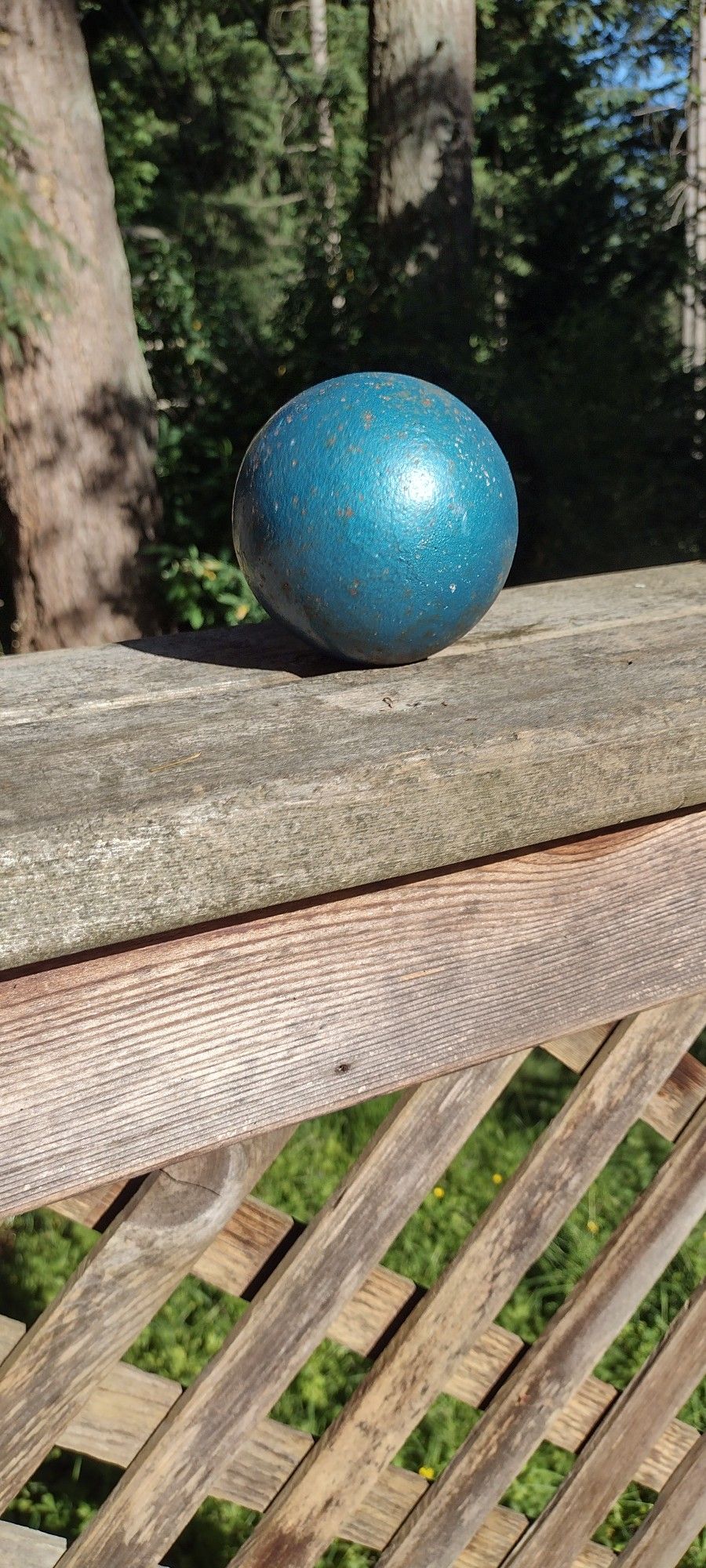 10 LB SHOT PUT