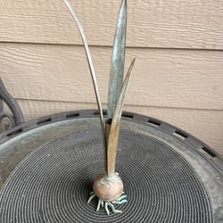 Vintage Carnevale Verdigris Brass Onion Bulb Bud Vase Tulip Bulb