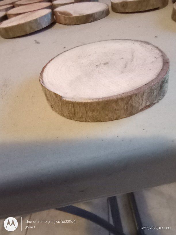 Natural Crafting Discs From Dry Sturdy Birch Log Come With Free Ornament 