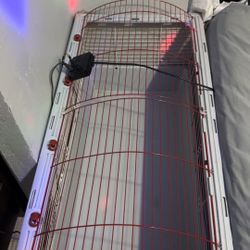 Bunny Cage + Bedding And Hay