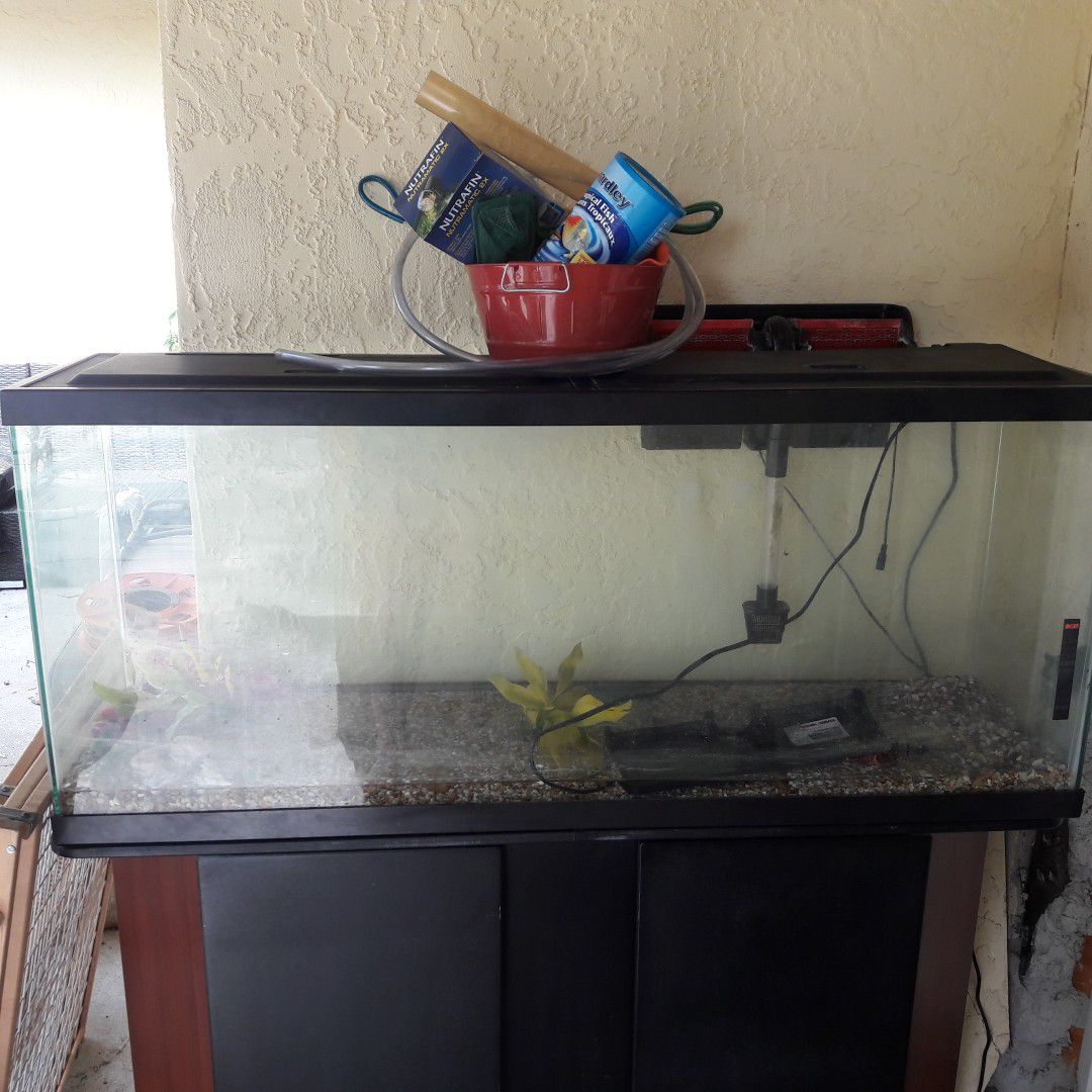 55 gal fish tank with stand and more