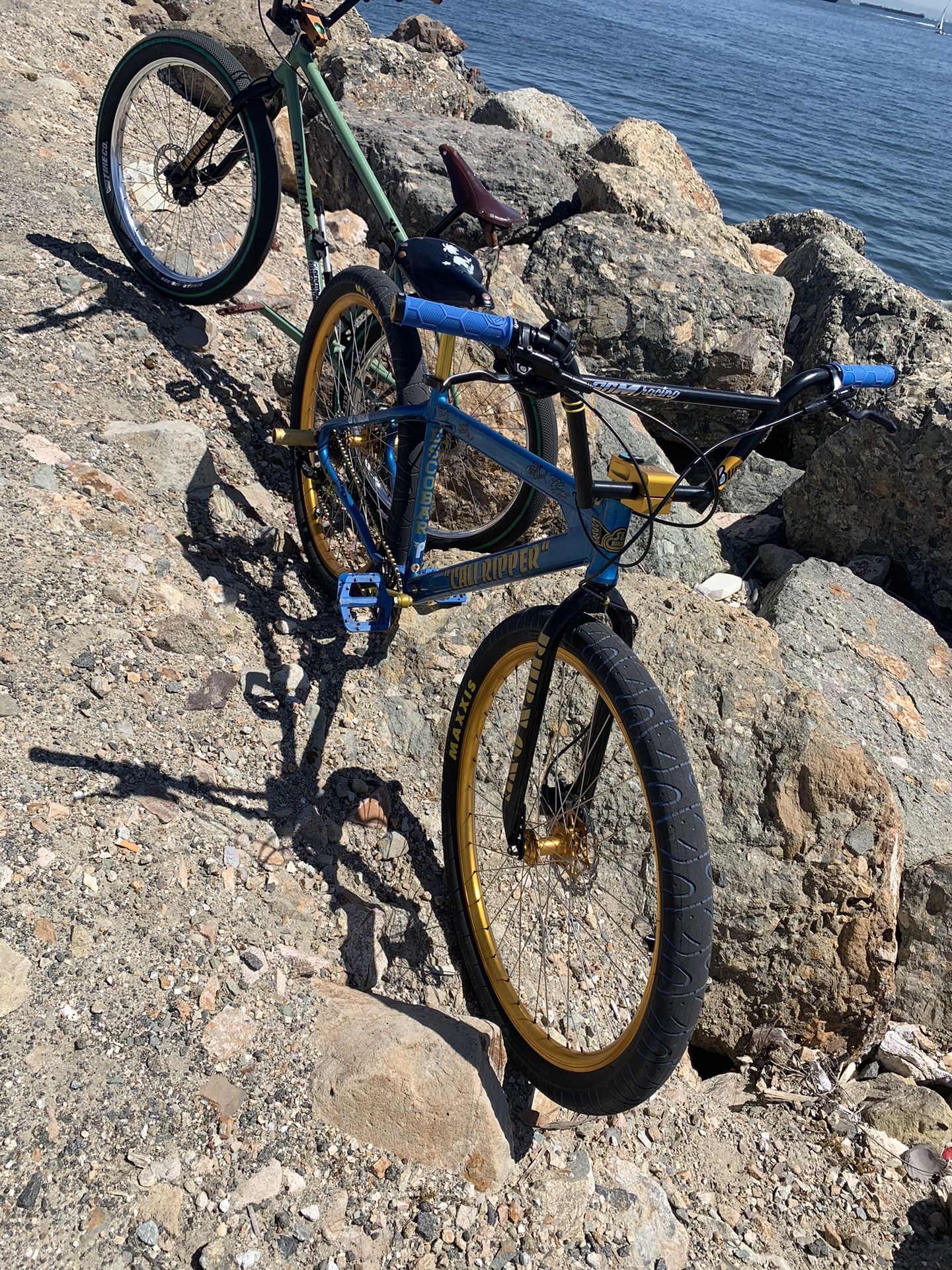 Fast Ripper 29 In Bmx Bike
