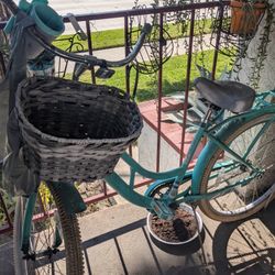 Woman's Beach Cruiser - Free