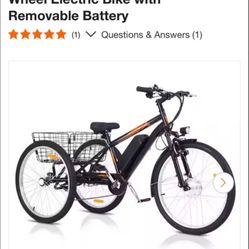 Garvee 24 in. Adult Fat Tire Mountain Electric 