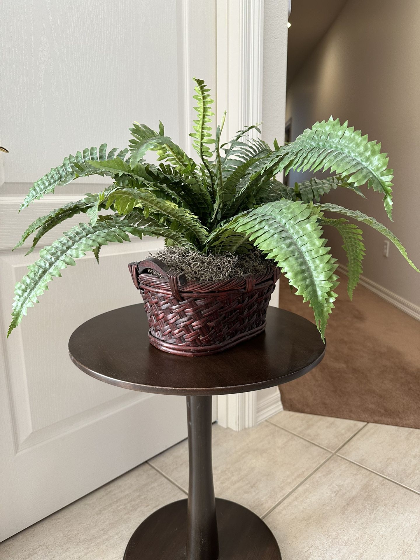 Artificial Fern