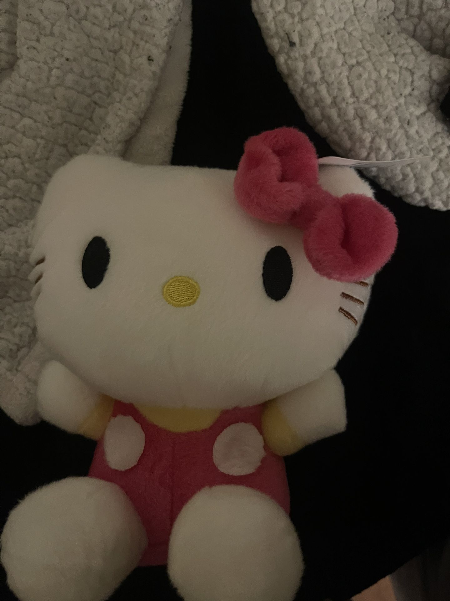 Hello Kitty Plushie