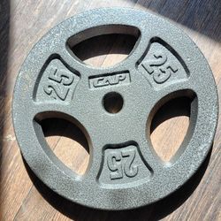 25 Lb Cap Weight Plates