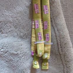 Stagecoach RV Resort Wristbands 