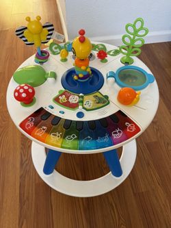 Baby Einstein Around We Grow Kids