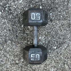 ONE Single (1) 50 lb dumbbell weight pounds pound 50lb 50lbs lbs NOT dumbbells weights Cast Iron