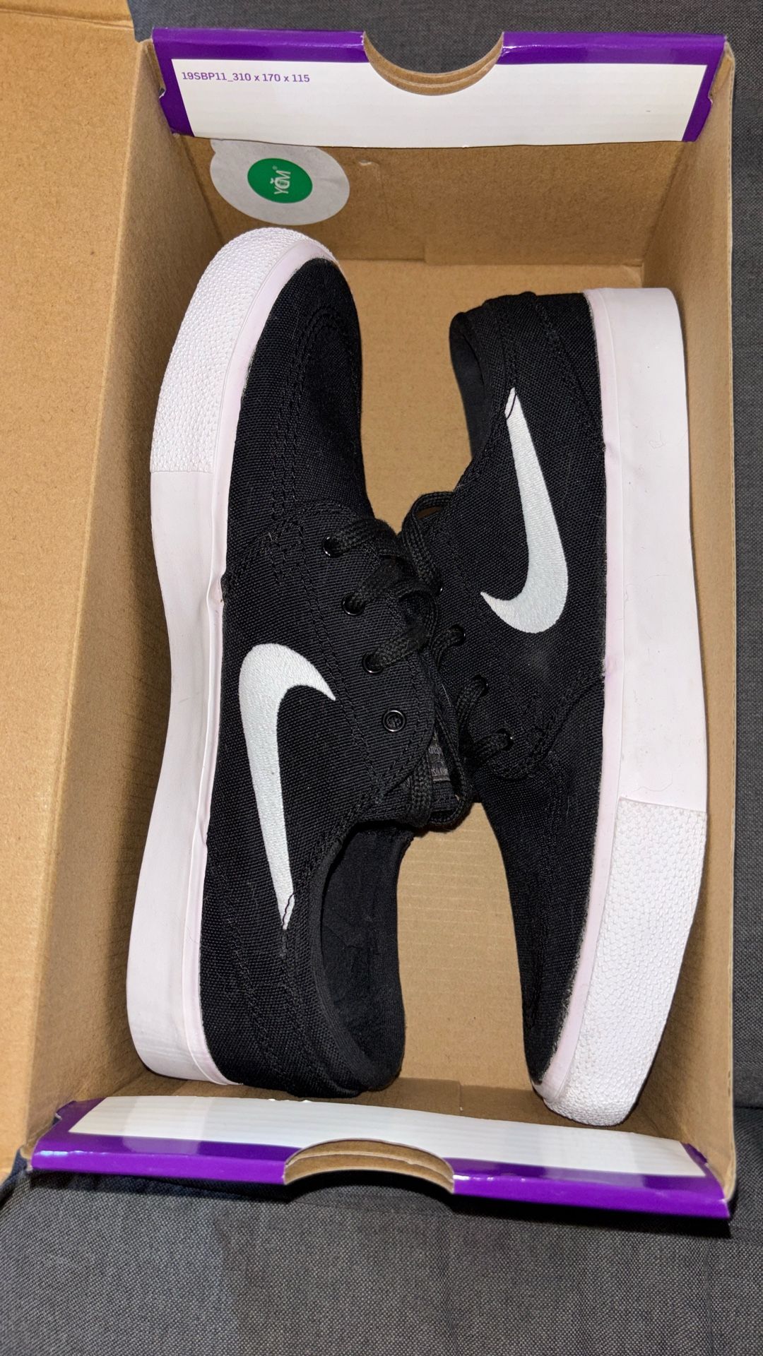 Nike SB Shoes