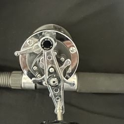 Daiwa Seadline / uglystik Tiger $60