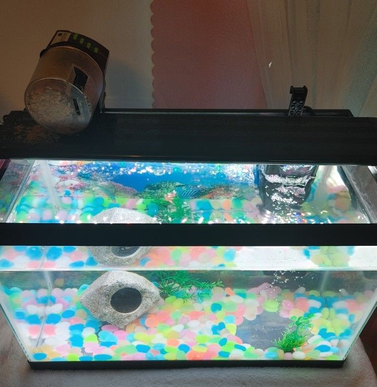 10 Gallon Fish Tank All Accessories Included