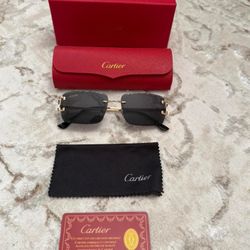 Cartier Black Diamond Cut Frames