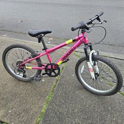 Kids Bike Dynascraft 20", Speed 7, Hand And Foot Brakes, 4-10 Years, Very Good Condition 