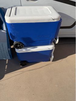 Igloo cooler used Pick up only