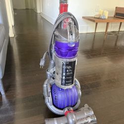 Dyson Animal