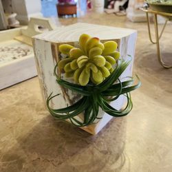 Cute Door Stopper Wood Block With Succulents 