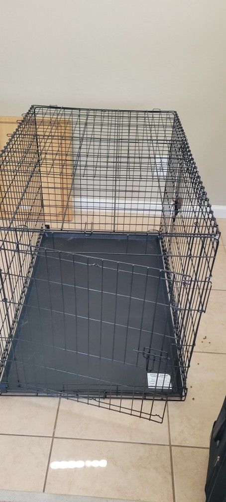 Dog kennel