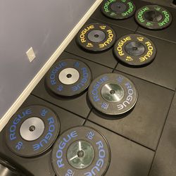 Rogue Fitness Olympic Rubber Bumper Weight Plates - 170 KG (390 Lb) Complete Set