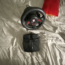 Pedal And Steering Wheel 