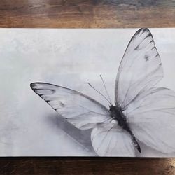 Butterfly Effect Grey Canvas Print 16x24