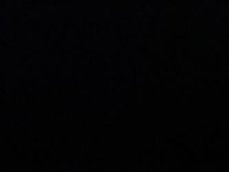 Se Venden T-a-m-a-l-e-$