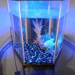 Glow Fish Tank 