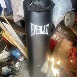 Everlast Punching Bag
