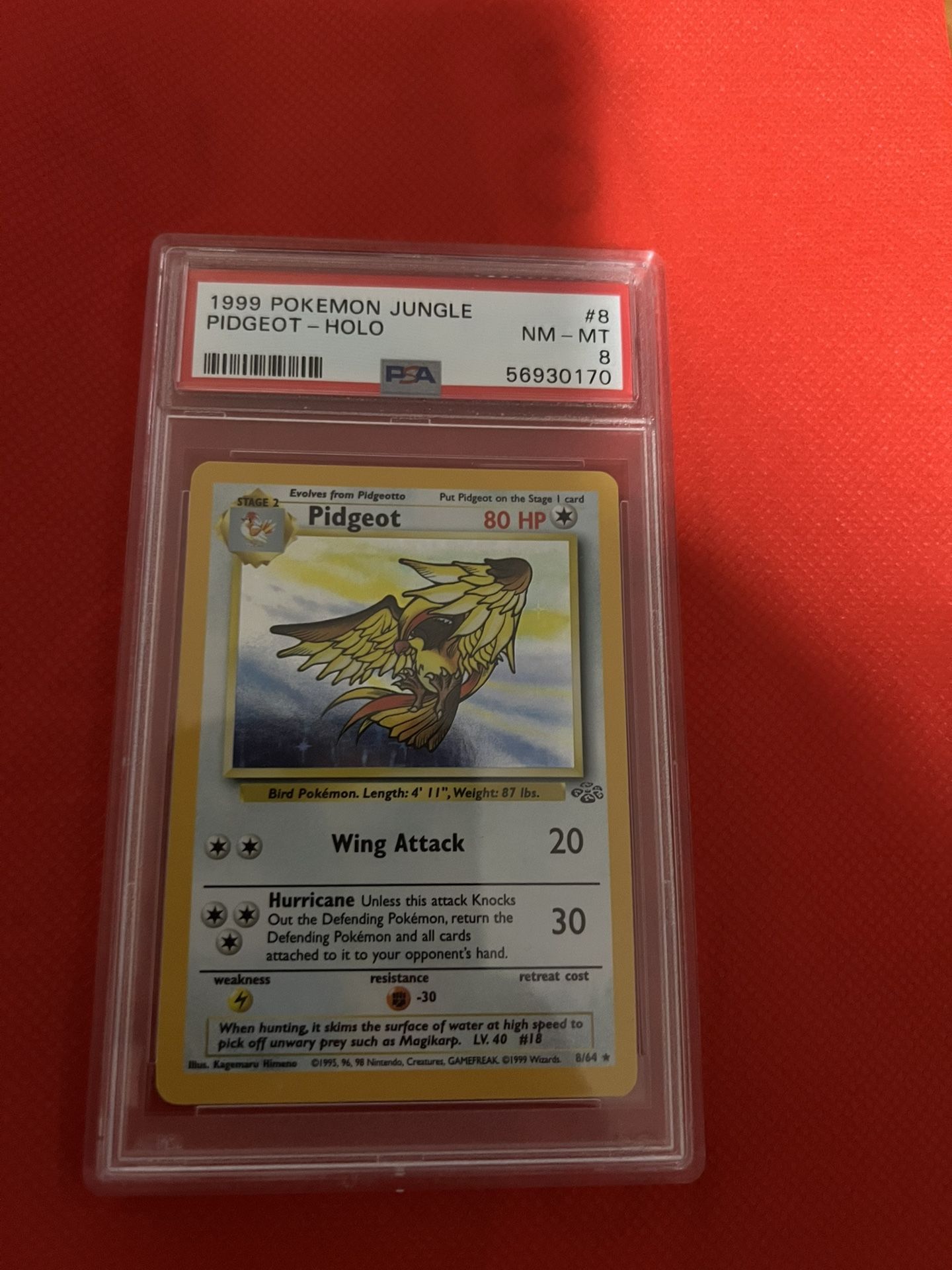 Pidgeot Graded Pokemon Card