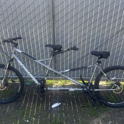 Schwinn twin / 2 seater bike