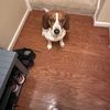 Jessy