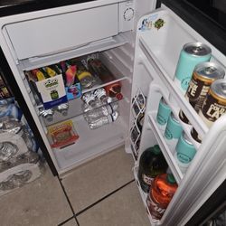 Mini Fridge 