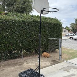 Adjustable Basketball Hoop