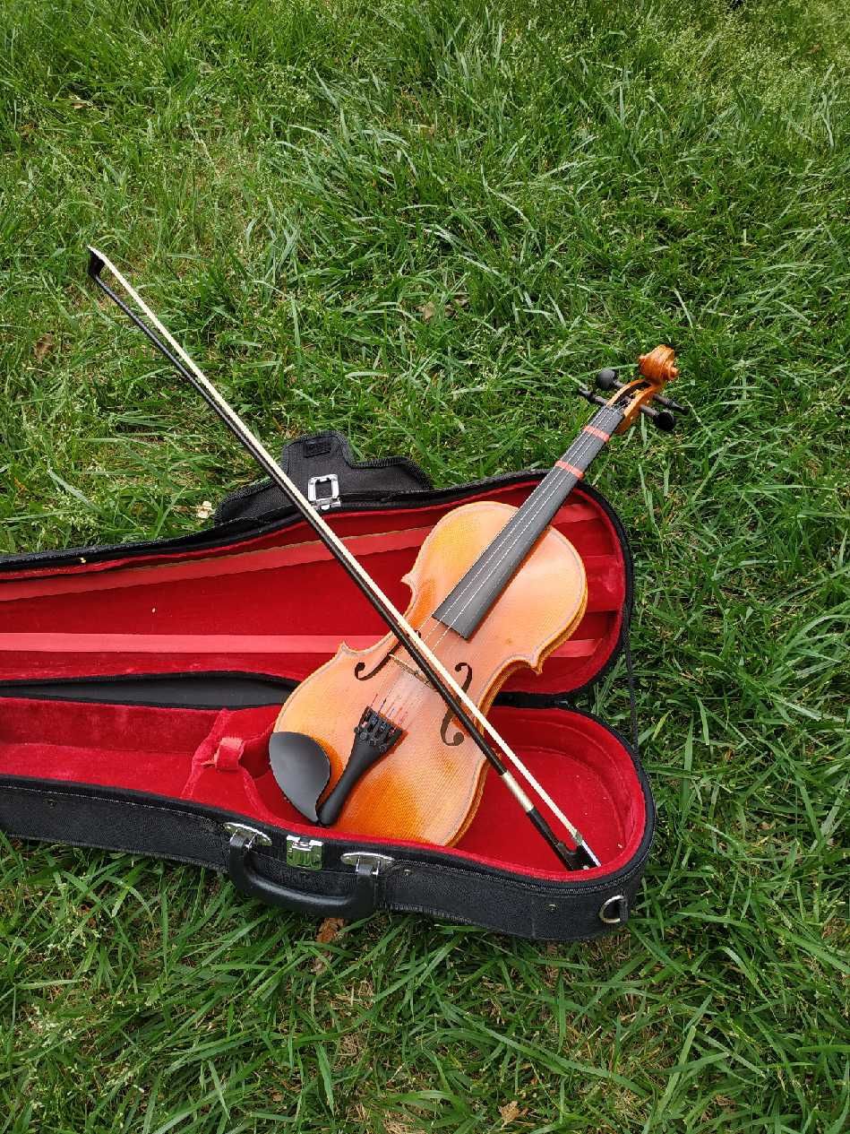 Violin (3/4 size)
