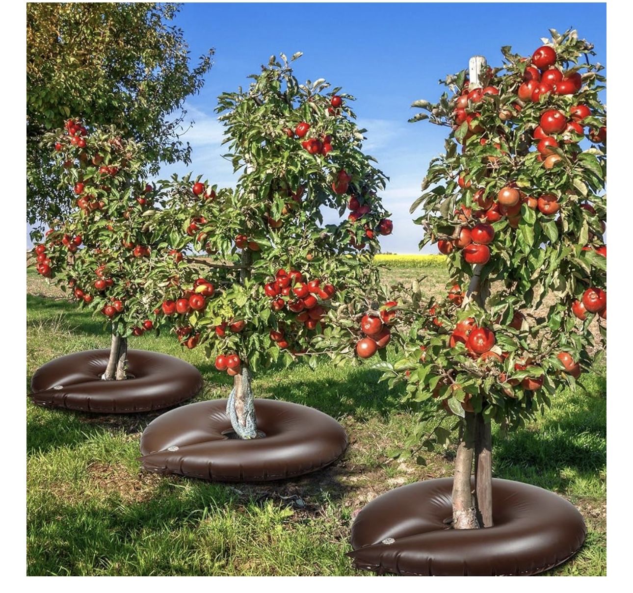 Tree Watering Rings 8