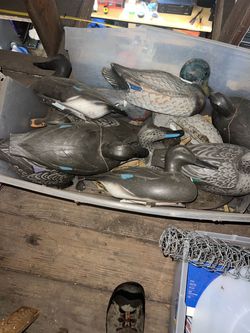 Duck Decoys